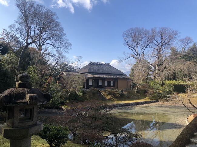 Go To 京都 18 桂離宮 松尾大社 鈴虫寺 地蔵院 つるめん