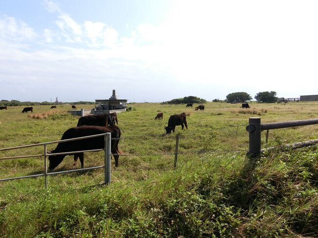 初めての石垣島は雨続き(その1／黒島編)