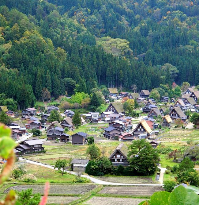 2020年 10月　岐阜・白川郷　Go Toトラベルで行くバスの旅　インバウンドなしの白川郷満喫旅①