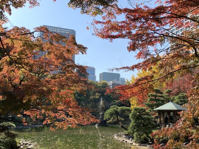 一昨年予約しておいた九段坂病院の人間ドックついでに、<br />近くの靖国神社と日比谷公園、<br />そして小石川後楽園の紅葉も見てきました。