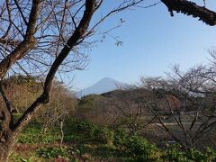 自転車でGO! 2020.11.17 紅葉を見に岩本山公園へ。