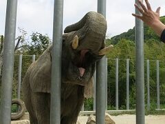 「とくしま動物園」と「しろとり動物園」に行ってきました。2日目