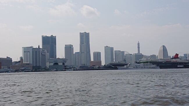 横浜の方に用事があって行ったので、ついでに新横浜のホテルでお茶したり、横浜の中華街に行って食事をしたり、山下公園から横浜駅まで出ているシーバスというものに初めて乗って、海の方から見える近代的な都心の風景を楽しんだりもしました。