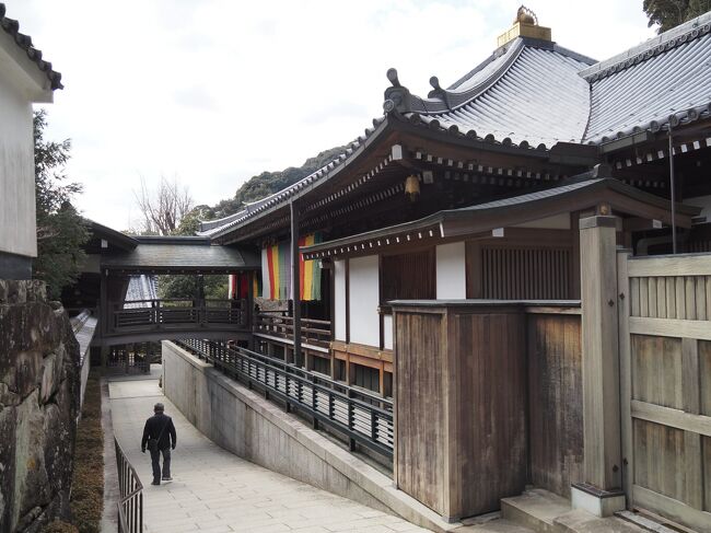 清荒神清澄寺、火の神・台所の神の荒神さんとして、信仰を集めています。<br />例年、新年になると竈の神さまの御札をいただきにお詣りに行っています。<br />コロナ禍で、動き回るのは憚れますが、荒神信仰は厄除開運の現世利益をもたらすといわれています。<br />今の世界の状況の厄払いを含め、祈願しようと思います。<br />真言宗の大本山、重厚感のある寺院です、気持ち良くお詣りすることができました。<br /><br />【写真は、本堂横の雰囲気のある小路です】<br />