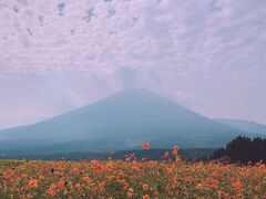 Go To トラベルで日本の白地図を一気に埋める旅・小林編