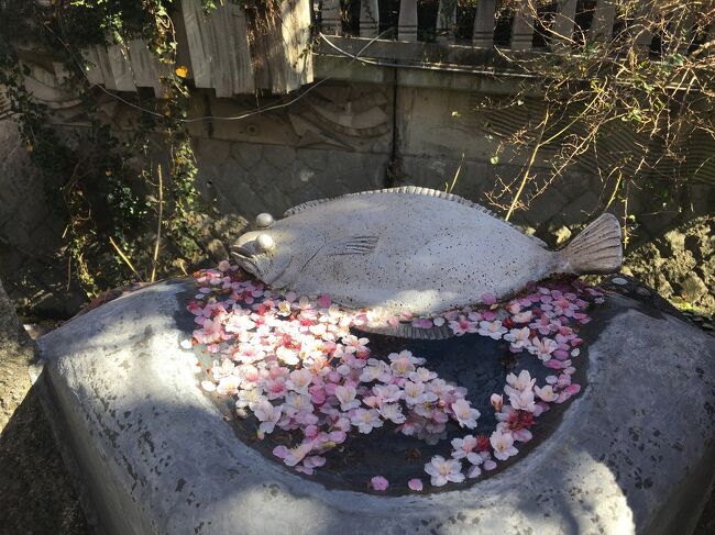 友人から あたみ桜が五分咲きとニ、三日前に言って来て。<br />桜はそんなに興味のない私「ふーん そうなの」と。<br /><br />彼女はご主人の実家が熱海にあってリフォームし たまに行って別荘のように使っていると聞いていた。実家の親御さんは天国へ。<br /><br />1/30 午後16時に「今から熱海に行かない?」<br />えっ?今日?<br />夜の20時頃車で走れば約2時間で着くよ。<br />お正月に息子が利用したので寝具、換気等 気になるからって。<br />この寒いのに換気?と聞いて嫌ーな予感はしていた。<br />明日は日曜、家にいても特に用事はないし<br />以前、何度か誘われて断っていたから行ってみようと思った私。<br /><br />予感通りでした!<br />窓に扉を開け放し 扇風機2台にサーキュレーター 換気扇も各部屋スイッチオン!<br />寒かったー!<br />えらいめにあった。<br /><br />梅、桜と花見ができたのはよかったかな。