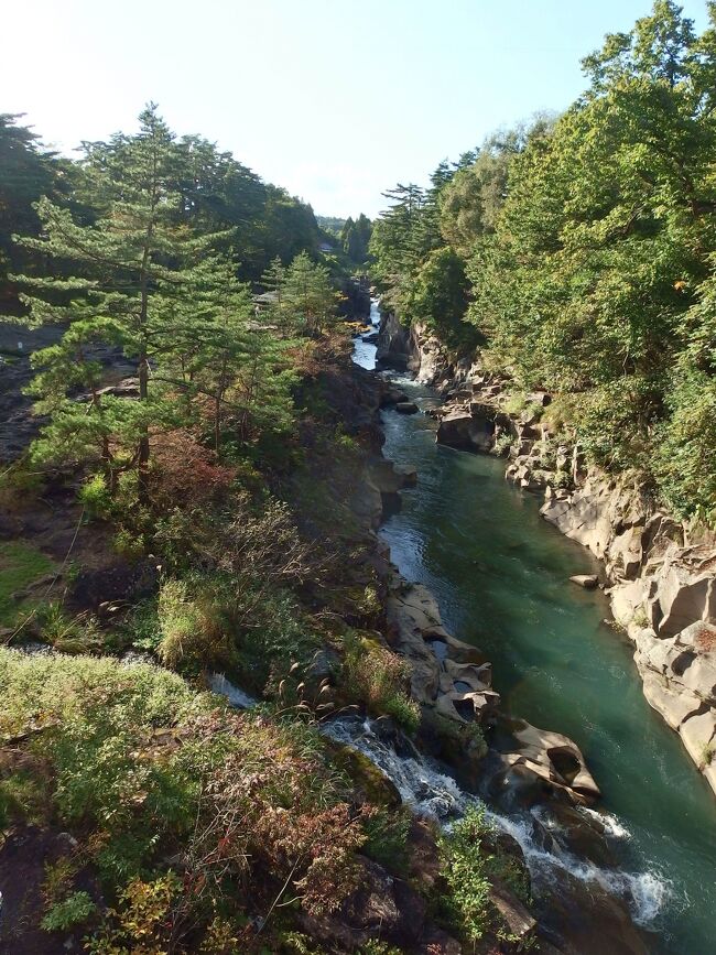 6月頃からあっちこっちへのツアーに申し込みをしました。九州の五島列島も申し込みました。クラブツーリズム、JTBなど申し込みしましたが、なかなか人数が集まらなく催行が不成立のツアーがほとんどでした。政府のgo to 何とかが予定されていたので、それが始まらないと皆さんの申し込みが始まらない様で、10月の旅行となりました。東北地方の山々を巡る色々なツアーがありましたが、家内の希望で月山などをハイキングするトラピックスの旅を選択しました。