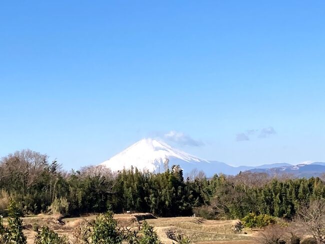 　平塚市上吉沢(きさわ)の八劔(やつるぎ)神社にバイクを駐車して、鷹取山(219ｍ)を目指してトレッキング、ゆるぎの丘、霧降の滝なども散策しました。<br />　吉沢公民館に駐車する予定でしたが、工事中のため散歩中のオジイチャンに尋ねたところ、八劔神社を教えてもらいました。<br />　霧降の滝は平塚市、栃木県日光市にあるのは霧降ノ滝、｢の｣と｢ノ｣の違いで知名度が全く違います(笑)<br />　今回は思い出自撮りをいくつか入れました。<br />　今日は春一番で西風の強風(通称､大西と言います)が吹き荒れました。<br />　以前は、春一番の日は仕事を休んで仲間とウインドサーフィンをやっていましたが...時代は変わりました。<br />　緊急事態宣言下ですので昼過ぎには帰宅しました。