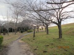 流山市の西深井・におどり公園・流山百か所めぐり（４）・葛飾早苗