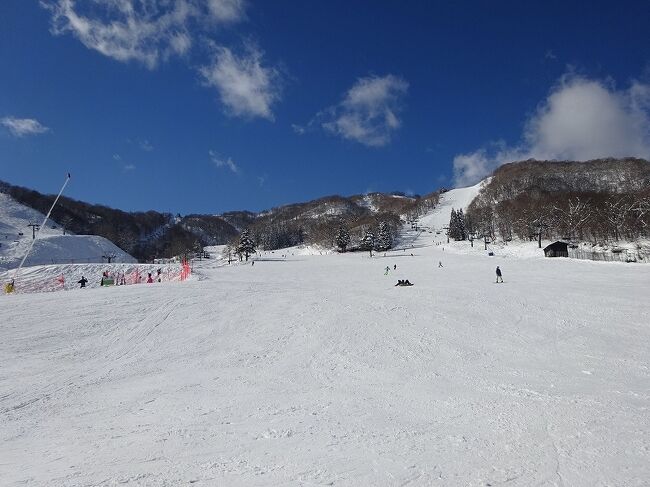 愛知県からは岐阜のスキー場は近い。<br />朝出ても一日思う存分滑ることができました。<br />さらにスキー場の宿なので、翌日も朝から楽しむことができました。<br />宿泊者特典でリフト代が￥2000です。<br />初めはgotoキャンペーンを利用する予定でしたが、その言葉ももはや死語となりました。<br />gotoキャンペーンがなくても行く人は行くということでしょうか。<br />