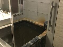 琵琶湖マリオットホテルで温泉