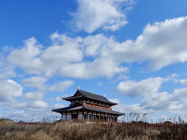 2月ある日の平城宮跡散歩<br />そして今年から開催される事になった奈良の【福よせ雛】<br /><br />今までも季節の行事として町屋や古い街並みetc、至る所で<br />雛人形が飾られ「大和な雛祭り」は開催されていたけど<br />「福よせ雛」はそれとはちょっと違うのです<br /><br />福よせ雛とは<br />諸事情でもうお家で飾ることがなくなったお雛様<br />まだ美しいままやむを得ず手放さなければならないお雛様を<br />「もう一度何かの役にたててあげたい」という想いのプロジェクトです<br /><br />お散歩で訪れた時に偶然「福よせ雛」の事を知りました<br />今年からの開催なのでまだ周知されてなく<br />私が再訪した時は朝一番って事もあり貸切状態で見学できたけど<br /><br />その日ニュースやメディア、FMなどで紹介されてからは<br />毎日1000人超えの来場者になったそうです<br /><br />あの閑散とした平城宮跡が賑やかになったんだ！とビックリ<br />公にTVで紹介される前に訪れたので私はラッキーでした<br /><br /><br /><br />