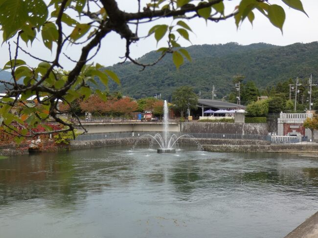 京都 岡崎 鴨東運河 南禅寺舟溜付近(Nanzenji Harbor, Oto Canal, Okazaki, Kyoto, JP)
