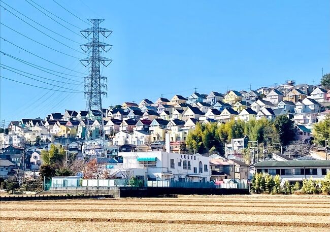 平塚総合公園へ梅林見学、曽我別所梅林に続いて満開までは少し早かった感じがしました。動物をたくさん見ることができてとても癒されました。入場料は無料です。<br /> 新幹線の小田原⇔新横浜間の車窓から見える有名?な日向岡(ひなたおか)住宅街を眺めながら長いトンネルを抜けて下吉沢(きさわ)の八剱神社(やつるぎ)へ。2日前に道に迷って行ったのですが、参拝を忘れていたので改めて参拝しました。<br /> 霧降の滝の出口で道に迷った5、6名の女性(人生の大先輩)がいたので声掛けをしたところ、「ゆるぎの丘」に行きたいとのことで丁寧に道案内をしました。一応、「遠いですよ。」と伝えたのですが、「遠くてもいいの~。」と言われました。さすが、人生の大先輩(笑)<br /> 吉沢地区、駐車場があると良いですね。<br /> 緊急事態宣言下ですので昼過ぎには帰宅しました。