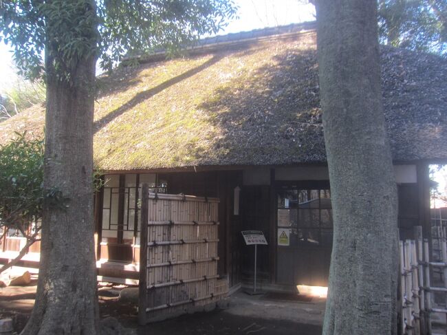 2月とは思えない暖かい日<br />公園をぶらぶらしてみました<br />まずは世田谷にある蘆花恒春園です<br /><br />文豪・徳冨蘆花は明治40年にここ粕谷村に移住し、死後夫人により旧住居は東京市に寄付されたことが蘆花恒春園のはじまりとなっています<br /><br />【表紙の写真】蘆花恒春園 徳冨蘆花旧宅