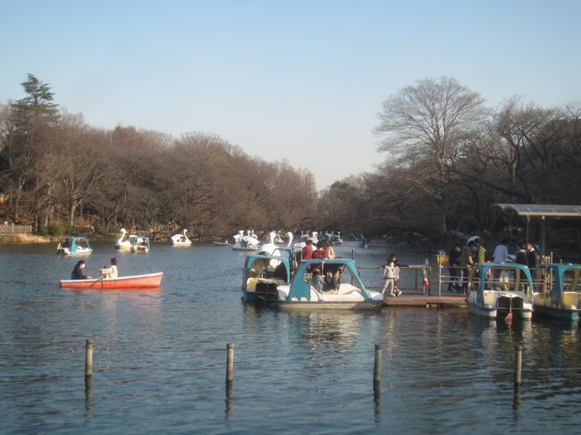 https://4travel.jp/travelogue/11676010<br />の続きです!<br />2月にしては暖かく、陽気が良いお散歩日和だったので、芦花公園をぶらぶらとした後で移動して、井の頭公園に来ました<br /><br />【表紙の写真】井の頭恩賜公園にある井の頭池