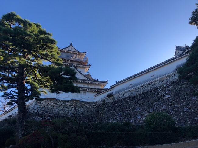 年末年始は予約していた鹿児島旅行を全てキャンセルして、久しぶりにキャンピングカーの旅にでました。行き先は高知メイン。<br />残念なことに実習を控えている医療従事者の卵の長女は、細心の注意を払い今回はお留守番。<br />夫婦に小学生の次女、幼稚園生の三女と愛犬の旅になりました。<br />あまり人と会わないようにと考えて、食の楽しみは最小限にしましたが、なかなか楽しめました。