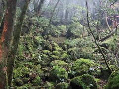 屋久島の旅：中編