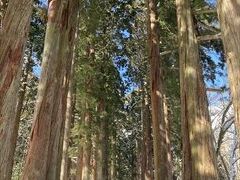 2021年02月　戸隠神社五社巡り