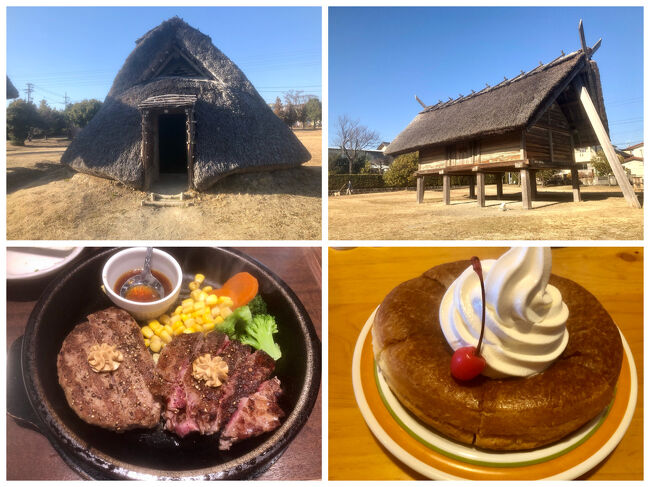 連れの情報で静岡松坂屋でサザエさん展をやっている！<br /><br />ならば行ってみようか・・・<br />結論から申しますと・・とっくに終わってました。<br /><br />ならどうする？<br /><br />静岡市立美術館の古代エジプト展も気になったが、事前予約を推奨してたし・・・<br /><br />結果として登呂遺跡へ<br />訪れたのは10数年振り<br />小学校の教科書でその存在を知るも訪れたのは大分後(#^.^#)<br /><br />ちなみに前日は駅ロータリーで静岡朝日テレビ（とびっきり静岡）の街頭インタビューに出てくれと<br />突如言われたんだけど、外出したのを会社の人達に目撃されるのも嫌なのでお断りしました。<br /><br />登呂遺跡とは・・・<br /><br />昭和18年の軍需工場建設の際、多量の木製品や土器片が出土したため、同年第一次の発掘調査が行なわれました。<br />戦後間もない昭和22年には考古学・人類学・地質学など各分野の学者が加わった日本で初めての学際的発掘調査が行なわれました。<br />発掘調査により、東西に長い自然堤防上に、12軒の家、2棟の倉庫、井戸、森林の跡や、南側には水田の広がりが見つかりました。<br />そして、昭和27年には、国の特別史跡に指定されました。<br />出土した土器や石器などは隣接する静岡市立登呂博物館にて見学出来ます。<br /><br />10数年振りに訪れてみると複数あった土産物屋は1軒も現存せず住宅になっていました。