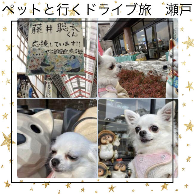 今年初のちょっとした県内移動です。仕事以外はほぼ近所のスーパーにしか行かなかったので、茶碗を買いに瀬戸市へ軽いドライブ旅。名物瀬戸焼きそばをペットと堪能しました。