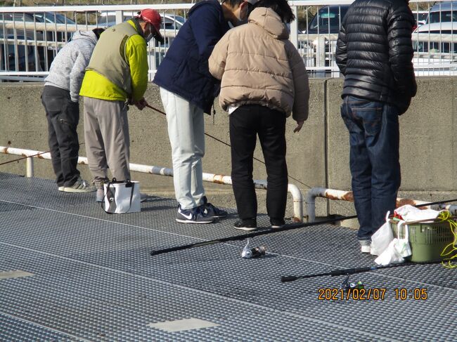 豊浜58釣り桟橋49.橋脚の2つ目。6時半-10時半<br />0207(日)若潮。満潮3時。干潮8時。月の出0244。風予報1m。気温前日予報6時から5 6 8.5 当日予報 6時から5.4 5.0 6.6 9.0 当日は風なし。8時過ぎ弱風冷風。<br />ウミタナゴ17,19,23センチの3匹。<br />写真は210207-1005.後ろがにぎやかになりました。ウミタナゴの群れが見えてるようです。お日様の加減で海の中が見える時間帯です。日がのぼりずっと100度の日差しでしたが。まぶしいですから帽子をずらして左側を隠します。そろそろ90度真上になってきました。<br />豊浜59釣り桟橋50.橋脚の4つ目。5時ー9時実際は風1m。気温9.5℃<br />0213(土)大潮。満潮7時半。干潮1時。月の出0746。風予報4m。気温予報6時から8・7・9。<br />アジ1匹25センチ。<br />豊浜60釣り桟橋51.橋脚の2つ目半ば。二人でボーズ。15時ー18時<br />0214(日)中潮。満潮19時半。干潮13時半。<br />