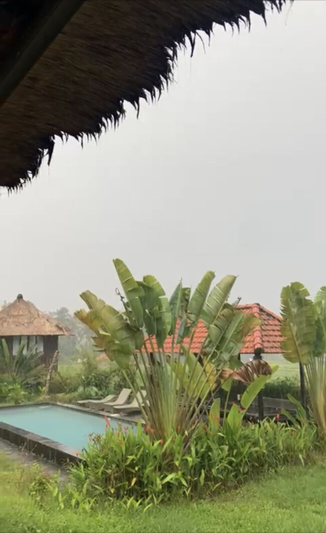 バリ島は雨季らしい毎日が続いています。<br />1日1回は雨。<br />雨の時は空がグレーで暗いので、木々など自然の緑が綺麗に見えるなぁー♫