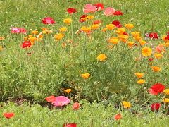 サステナブルロケ地訪問（旭川・上川）