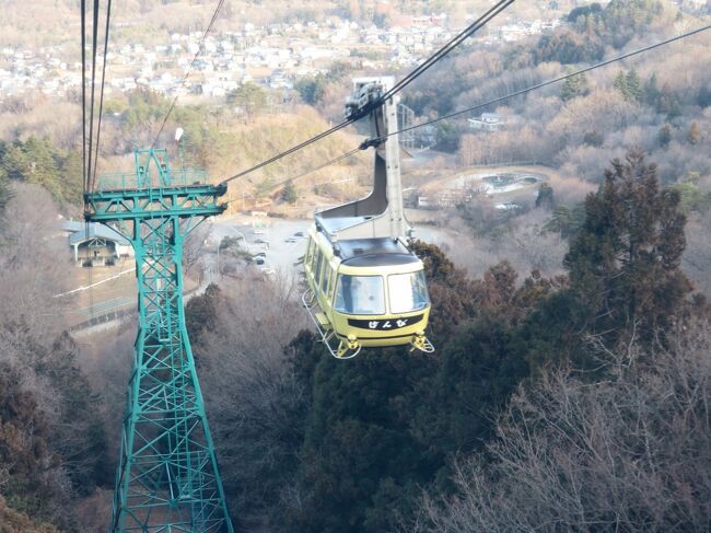 テレワークによる運動不足を近所のサイクリングで補っていると、思った以上に季節の花に出会います。<br />12月末から１月２月にかけて咲く私のお気に入りの早春の樹木の花といえばロウバイですが、ロウバイの木がある近所のお宅も意外とあるものです。<br />そんな中、近所の農家の庭先に３本ほどのロウバイを生け垣の外から見かけた時、黄色い水しぶきのようなロウバイの花に心から感動し、今年はぜひ秩父・宝登山のろうばい園を見に行かねば、という気になりました。<br />動物園めぐりを優先させるようになってから、日程的にも体力的にもぎりぎりで、宝登山のロウバイはここのところご無沙汰だったのです。<br />2021年のこの冬は、日本全国あちこちの動物園に自由に行けない分、逆にちょうどよいと思いました。<br />それに、今の私は、我が家から秩父まで車で行くことができます！<br />電車を乗り継いでいたら２時間半かかったはずのところが、往路は高速道路を利用したので、１時間で到着できました！<br /><br />また、今の私は動物園に興味があるので、今回は初めて、宝登山小動物園にも行ってみました。<br />毎週末のように動物園通いをするようになった私にとって、宝登山小動物園にはそれほどめずらしい動物がいたわけでもなく、小規模で、施設全体の老朽化は目立ちましたし、鳥インフルエンザ対策で鳥類の展示が中止になっていてだいぶさびしく感じられたものですが、動物たちにエサやりをしていたら、これがけっこう楽しかったです。<br /><br />ただ、残念だったのは、車だと駐車場の問題があり、またタイミングも悪かったので、秩父グルメは味わうことができませんでした。<br />ほんとは、おっきりこみうどんとか、豚の味噌かつ丼をランチにしたかったのです。<br />代わりに、帰りに、秩父はないですが、深谷市にある道の駅はなぞので、買い物をたっぷり楽しみました。<br />車だと、みやげがかさばるのも、重いのも全く問題ないので、瓶詰めのもの、保冷剤入りのものなど、じゃんじゃん買ってしまいました。<br /><br />というわけで、３年ぶりで初めて車で訪れた秩父・宝登山ロウバイ詣の１日の旅行記は、ロウバイ以外の写真でまとめた前編と、ロウバイ園での写真でまとめた後編の２本に分けました。<br /><br />＜３年ぶりで車デビューとなった通算11度目の秩父・宝登山ロウバイ詣の旅行記のシリーズ構成＞<br />■（前編）ロープウェイ山麓駅まで車でらくちん＆意外に楽しめた宝登山小動物公園＆帰りに道の駅はなぞの<br />□（後編）ロウバイ絶好日和に見頃になった新しい「四季の丘」となつかしの西ろうばい園を絶景と共に<br /><br />長瀞ロウバイの開花状況が分かる宝登山ロープウェイ公式サイト<br />http://www.hodosan-ropeway.co.jp/<br />秩父鉄道の公式サイトの宝登山小動物園の紹介ページ<br />https://www.chichibu-railway.co.jp/nagatoro/zoo.html<br /><br />道の駅はなぞの<br />https://www.michinoeki-hanazono.jp/<br /><br />＜タイムメモ＞<br />10:00　車で家を出発する<br />（高速道路と皆野寄居有料道路を利用）<br />11:05　宝登山ロープウエイ山麓駅の駐車場に到着<br />11:30　ロープウェイに乗車★<br />（10:00～16:30は15分おきに運行）<br />11:35　山頂駅に到着★<br />11:40-13:05　ロウバイ撮影散策<br />（四季の丘・西ろうばい園）<br />13:05-13:25　山頂付近のベンチで休憩<br />13:25-13:40　西ろうばい園<br />13:40-14:00　宝登山神社奥宮＆みそおでん休憩★<br />14:05-14:35　レストハウスでランチ休憩★<br />14:55-15:50　宝登山小動物公園★<br />16:00　下りのロープウェイに乗車<br />16:05　山麓駅に到着<br />16:05-16:10　山麓駅で買い物★<br />16:25　駐車場を出発する<br />16:55-18:05　道の駅はなぞので買い物＆休憩★<br />19:05　蔵の湯鶴ヶ島に到着★<br /><br />※これまでの長瀞・宝登山ロウバイ詣の旅行記のURL集は、この旅行記の末尾にまとめました。