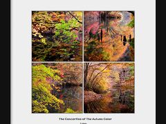 ◆秋彩のコンチェルト♪水鏡の滑川砂防ダム ２