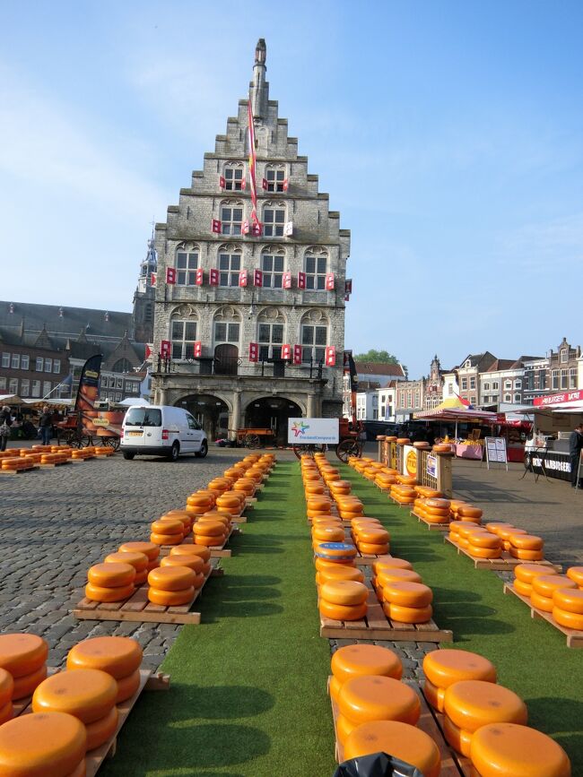 ゴールデンウィークに、オランダのチューリップと美術館巡り8日間⑤。ゴーダのチーズ市３日目前半