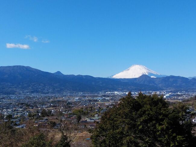 昨日曽我梅林へ行きましたが富士山は見えず写真としたら面白く無かったので今日の朝散歩後バイクで行ってきました。今日は日の出から富士も赤く染まり桜の花と富士がマッチングし綺麗でした。お昼前バイクで昨日と同じようなルートを辿り曽我山を走ってきました。急な砂利交じりの農道をスクーターで走るのも厄介で危険も感じ歩くのが一番。昨日と変わり曽我山、曽我梅林からも綺麗な富士山を見ることができました.梅も満開でしたが種類が多いのでこれからはもっと多種類の梅花を見ることが出来ますので、お近くの人は足を運ばれてみてはいかがでしょうか。