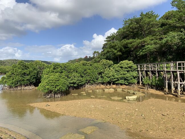 　7月にも沖縄本島北部へ行くツアーに参加していますが、そのツアーが11月から変更されて、よりやんばるの自然を体験できるものへと変わりました。そのため、参加してみようと思ったのが今回のツアーのきっかけです。こういう機会がないと本島北部へは行けませんので。<br />　ちなみに定期観光バスのルートは、「那覇市内発～東村ふれあいヒルギ公園～やんばるの森ビジターセンター～国頭港食堂（昼食）～辺戸岬～大石林山～くいなの森～ゆいゆい国頭～那覇市内着」というものです。<br />　行程は、2泊3日です。1日目の夕方に那覇へと移動して、那覇市内で一泊。2日目は本島北部のツアーに参加して、那覇市内に宿泊。3日目は大阪へと帰るというものです。ほとんど、この沖縄本島北部の定期観光バスツアーに参加するために沖縄へと来たようなものでした。そのため、旅行記は沖縄本島北部へと行く定期観光バスツアーを中心に、２回にわたって紹介したいとおもいます。<br />　今回は前編として、バスツアーの前半、東村のふれあいヒルギ公園へと行ったことなどを中心にご紹介したいと思います。マングローブ林を見るのは初めてでして、なかなか興味深かったです。ただ、陸上から見る景色と、カヌーなど水辺から見る景色は全然違うんだろうなあという印象を受けました。そのあたりは次回の課題ですね。<br />　あとこの旅行記には、おまけとして、移動中の機窓撮影と、首里城公園の様子もありますが、ご容赦の程を。<br />