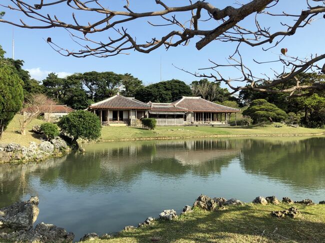 京都の南から、大津に転居して、毎年、極寒の時期には、那覇に滞在しようと決めて、3年目。今年も那覇に行きました。<br /><br />コロナ、ほんとうに長々と、人の暮らしを変えてくれて、うっとうしいですね。しかも、この冬は、いつも以上に寒いです。<br />コロナの前から、コロナ対応的な生活をしている私は、年末年始、ゴールデンウィーク、お盆は、何も予定を入れずに、巣ごもりします。この習慣は、もう軽く10年、いや15年ぐらいは続いていると思います。<br /><br />いつもの年末年始なら、アパートの駐車場は、ほとんどの車がお出かけしていて、私の車がポツンと残っているのですが、今年は、ステイ・ホームで、アパートの両隣の方々も、ステイ・ホーム。<br />一人暮らしの私と違って、家族でお住まいだから、「いつもよりちょっと贅沢して、酒盛りして・・・」それまで気にならなかった、隣室の話し声やら雑音が、耳につく。<br />生まれて初めて、自宅にいることをうっとうしいと感じた、この冬でした。<br /><br />なので、今年は、いつもより長く、1ヶ月近く、寒い寒い大津を脱出して、那覇に滞在しました。<br /><br />今回、利用したホテルは、緊急事態宣言のおかげで、とても静かでした。昨年の秋の九州旅行で達した結論は、「Go to トラベルの割引は嬉しいけど、セットで混雑がついてきて、感染リスクも上がるぐらいなら、割引なしで、静かな方がいい」ということでしたが、今回の那覇では、その願いがかなったかもしれません。<br />たまにフロントで見かけるお客たちは、多くが一人旅で、仕事なのか、ワーケーションなのか、私と同じような一人旅なのかはわかりませんが、このコロナの時代は、やっぱ、一人旅がいいですよね。<br /><br />たまに、グループがいると、朝食会場で、ペチャクチャとおしゃべりしていますが、コロナの時代って、ペチャクチャしゃべる人は、見苦しいですよね。私は、ふだんは人一倍よくしゃべるし、そのことをよーく自覚していますから(笑)、コロナの時代は、見苦しくならないように、静かに一人旅を貫きたいと思います。<br /><br />もっとも、コロナが終わってくれて、存分に友人たちとおしゃべりしたいし、何より、ヨーロッパに行きたいものです。