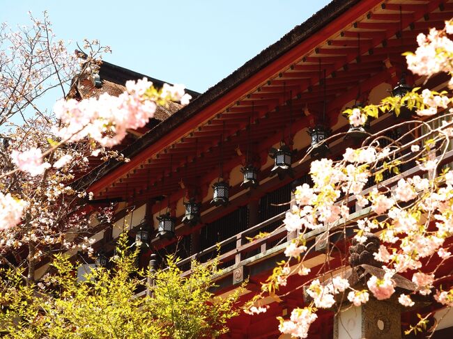 旅の四日目は明日香村周辺を廻ります。<br />等彌神社から数分の所にある聖林寺、その奥の談山神社へ。<br /><br />談山神社は広くて、細かいところまで見る時間が無かったのが残念です。