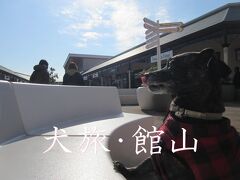 犬旅　～館山・2020冬～