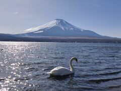 山中湖　富士山ハイキング
