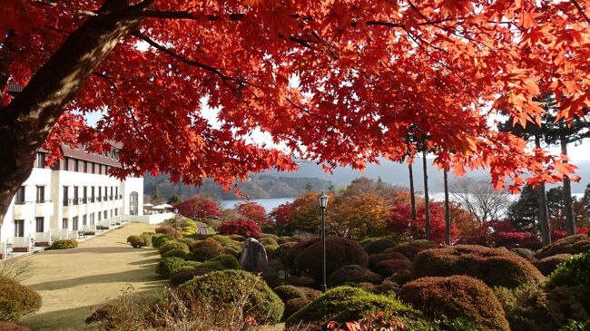 芦ノ湖畔にたたずむ　ザ・プリンス 箱根芦ノ湖　泊まり<br /><br />紅葉鮮やかな山の上ホテル庭園と<br />岡田美術館など楽しんできました