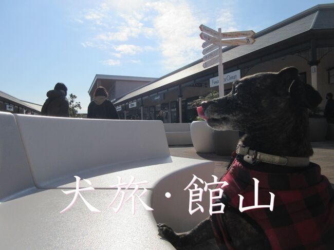 愛犬Kenと旅する企画『 犬旅 』<br /><br />第44回、館山。<br />秋に来たけど、また来ちゃった。テヘ