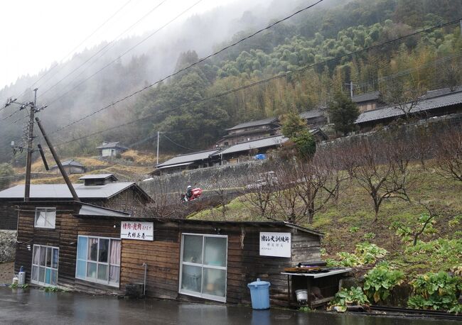 オキニの酒場のマスターから聞く<br />○○さ~ん<br />宮崎の椎葉村って行ったことありますっ<br /><br />椎葉??<br />ああ、なんか高千穂の方にそんなとこ聞いたかな<br />ぐらい<br /><br />マスターは横浜からバイカル号で<br />津軽海峡を抜けソビエト・ナホトカに渡り<br />シベリア横断鉄道でヨーロッパ世代、旅の強者<br /><br />旅繋がりで店も知ったという縁<br />なかなかいいとこみたいですよ、と<br />ググると宮崎日向から西の山の中<br /><br />確かに・・<br />えらい奥地<br />宮崎のガイド本見たけど載っていない<br />おお<br />これは間違いなしだな<br />行こう、椎葉<br /><br />壇ノ浦の戦いで滅亡した平氏の残党が<br />この地に落ち延びたところらしい<br /><br />宮崎青島滞在から<br />GOGOしましょ<br />温泉以外で山に行くなんてのは初めてかも・・・<br />そんなスタートで宮崎県の山奥の椎葉村へ<br /><br /><br /><br />・もうコロナの中、うんだらの弁明?書きませーんのでっ