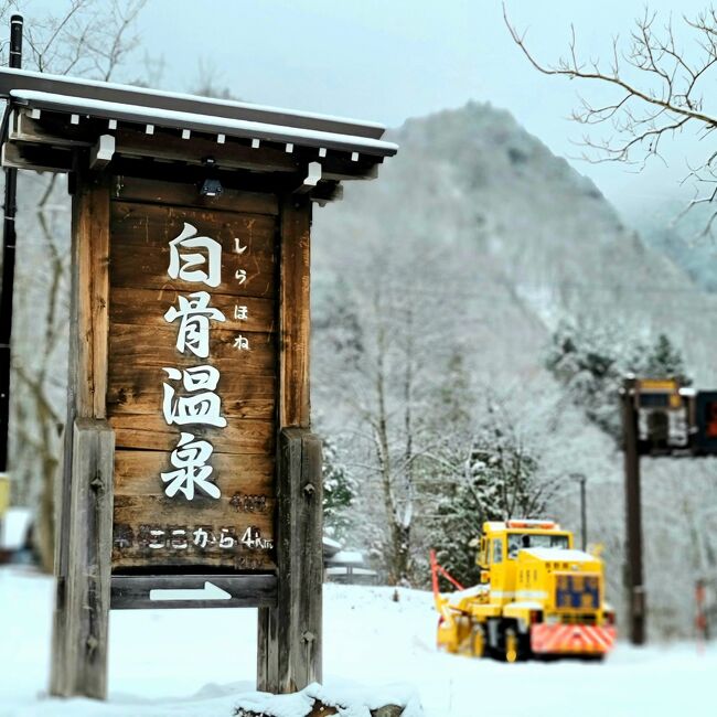 わが家はにごり湯が好きで入浴剤「旅の宿～にごり湯シリーズ」を愛用しています。<br /><br />１箱に４種類入っていて、いつも最初になくなるのが「信州：白骨温泉」。<br /><br />「本当の白骨温泉に入りたいね！」と夫が言ったのをきっかけに初めて訪れました。<br /><br /><br />■ 宿泊先：白骨温泉 白船荘 新宅旅館１泊