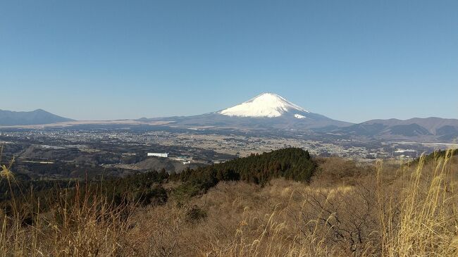 ２月11日(木)建国記念日の未明、眠かったけど、起床し、ザックにカメラ等を詰めて、出発。<br />電車を乗り継ぎました。神奈川県の小田急線と静岡県のＪＲ御殿場線に「足柄駅」が有りますが、ＪＲ御殿場線の足柄駅で下車。<br />８時20分頃、「足柄古道・銚子ヶ淵コース」を歩き始めました。静かな沢沿いの道を緩やかに登り、金太郎さんゆかりの「頼光対面の滝」や「銚子ヶ渕」を見物、いずれも良い景色でした。<br />この先が通行止めで、歩きでも行っちゃいけない感じがしました。傍らに別の車が通れる道、違う方向でしたが、そっちへ行ってみました。やがて、道が無くなりましたが、沢を横切る微かな踏み跡が見受けられ、たどりました。踏み跡が分からなくなり、辺りは急斜面。でも、ここを攀じ登れば、尾根に上がれそうでした。動物のように四つん這いで攀じ登ると、杉林の尾根。林業のためときどき、人が通っているのかもしれません。歩きやすい尾根を緩やかに登ると、電線とガードレールが見えてきて、峠の道路です。道路との間に段差も無く、そのまま道路に出ました。<br />とても良い天気で、富士山の絶景でした。古くからの峠道ということで、辺りにはモニュメントがたくさん。バイクや自転車が行き交っていました。<br />足柄峠は標高759ｍ。足柄峠、関所跡、聖天宮、足柄城跡等を巡りました。家族連れの子供達も来ていて、賑わっていました。足柄明神社に寄り、石の祠と顔がユニークな白馬像を拝みました。これから登る矢倉岳がよく見えました。静岡県と神奈川県の県境を跨ぎ、足柄万葉公園にちょっとだけ入りました。<br />この公園の際より登山道に入りました。長く下り、ようやく鞍部に来ました。良い天気で、登山客が多く、擦れ違うとき、ちょっと鬱陶しかった。矢倉岳の登りは段差の大きな階段で、堪えましたが、登りはちょっとだけでした。<br />ＰＭ１時過ぎ、標高870ｍの矢倉岳頂上に到着。立派な祠が有ります。富士山、箱根山、相模湾等、素晴らしい眺めでした。ローソンで買ったおにぎりのランチを食べました。<br />この後、山北の方へ下ることにしました。矢倉岳の頂上部は霜柱が融けた後で、融けたチョコレートのような反力の無い下り。踏ん張っても足下が滑り、おっかなかった。小さい歩幅で慎重に下りました。<br />酒水の滝を指す標識が頻繁に有り、これに従いました。所々に登りが有りましたが、全般的に歩きやすい道でした。１つの小ピークである浜居場（はまいば）城跡を過ぎました。「21世紀の森」という所に神奈川県の「市町村の木樹木園」が有ります。県の税金を使っちゃったようです。酒水の滝はここから90分だそうで、そっちへ行く時間は有りませんでした。<br />スマホでの地図を見て、麓に下る細い道に入りました。緩やかに下っていると、２頭の鹿が走り去り、速かった。この道は枯れ葉等に覆われていましたが、コンクリートの舗装、縁石、石積みが有り、手厚い整備がされていました。旧道なのでしょう。<br />酒匂川沿いに下り、山北の河村城跡に向かいました。<br />こんもりとした山で、私は既に疲れていましたが、頑張って、登城しました。山を造成し、城が築かれたそうで、頂部は広い平地が広がっています。河村城は平安時代末期に藤原氏の一族がここを領有し、「河村」と名乗ったことに始まるそうです。山北は山に囲まれていますが、相模と駿河の間に位置し、東西に交通路が通っており、重要な地だったのでしょう。今、ここからは東名高速道路が見えます。箱根山、相模湾、山北の町等、眺めの良い城跡です。隣に浅間山が有り、行こうとしましたが、頂上への道が無く、暗くなり始めていましたので、止めました。<br />しばらく歩いて、ようやく、山北駅に到着。<br />乗り換え駅の松田、新松田の近くで「麺屋三男坊」に寄り、夕飯を食べました。どれもおいしいお店でした。20時で閉まっちゃいますからね。