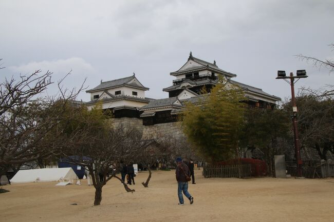 愛媛旅行記3日目!いよいよ松山観光です!<br />今まで西条・今治・宇和島・愛南と観光してきましたが、愛媛県の県庁所在地、松山の観光です。<br />松山と言ったら現存天守の伊予松山城!って事で訪れました。<br /><br />この旅行記は12月14日の分なのですが、この日は月曜日です。そんなわけで多くの公共施設は休みになっていて、回れなかったところもありました。それは残念ですが、逆に見たいところをゆっくりまわれて良かったのかなと思っています。<br />朝JR松山駅でアンパンマン列車を撮影したあと伊予鉄市内線に乗車。松山駅近くのホテルだったので、伊予鉄は何回も見ていましたが乗車は初めて。市内線は思っていた以上に系統が複雑で最初から乗り間違えがありましたが、伊予鉄の博物館の坊ちゃん列車ミュージアムへ。なんとスタバの中にミュージアムがありました。その後は市内線で松山の繁華街、大街道へ向かい松山城へのリープウェイ乗り場へ。リフトとロープウェイがありましたが迷わずロープウェイを選択!高所恐怖症にはリフトはきつい。<br />ロープウェイを降りてもすぐに本丸ではなく当時の形で残るいくつかの門をくぐり本丸へ向かい、お金を払い検温をしていよいよ天守と小天守へ。<br />写真の枚数は多いですが、中心は松山城になります。<br /><br />それでは松山観光編になります!