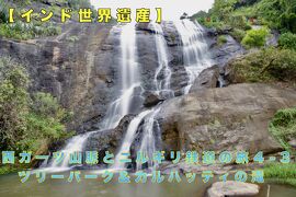 【インド世界遺産】西ガーツ山脈とニルギリ鉄道の旅４-3 ツリーパーク＆カルハッティの滝