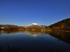 2021　三島池から水生植物公園みずの森へ