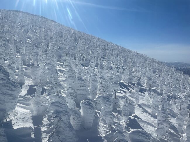 樹氷を見に山形の蔵王温泉に行くことにした。天候に左右されるので場合によってはロープウェイで山頂を往復するだけになるかもしれないが、天候に恵まれればスキーで樹氷の中を滑り降りたい。<br /><br />そして山形の北に位置する尾花沢市にある銀山温泉にも足を延ばしたい。「おしん」のロケ地でもあり「千と千尋の神隠し」のモデルになった場所の一つともいわれている。<br />外国人にも人気の温泉地だ。