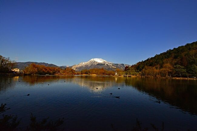 草津市立水生植物公園みずの森<br />琵琶湖に面した風光明媚な場所にあり、<br />「植物と人、水と人とのふれあい」をテーマに、<br />烏丸半島の東に<br /><br />この公園の中心にはロータス館があり、<br />その中にはメインディッシュ、アトリウム<br />（水生植物や熱帯植物の温室），<br />ここ狭いのですが、いろんな熱帯性スイレン<br /><br />入ると正面に<br />ポインセチアの展示から引き続き、干支とランの展示<br />滋賀洋らんフェスタの開催もなく<br />琵琶湖の写真展等も無く残念<br /><br />メインディッシュ、アトリウムへ<br />水面に映った花の影が美しい花影、<br />冬でも熱帯スイレンの咲く温室など水生植物<br />1年を通じて熱帯性のスイレンを楽しむことができます。<br />国内外の約65種の水生植物や熱帯植物を<br />常設展示室などが配置されている。<br />ロータスとは英語でハスやスイレンの総称。<br />人類とハスとは古く、古代エジプト王朝まで、<br />神聖さの象徴として数々のある。<br /><br />（注意）<br />屋外で栽培されているスイレンの多くは耐寒性スイレン<br />開花は５月下旬～９月いっぱいぐらい<br />お昼を過ぎますと花を閉じますので、観賞は午前中に<br />屋内（ロータス館内アトリウム内）のスイレン<br />温室で栽培されているスイレンは熱帯性スイレンですから、<br />一年中ご覧できますので。<br />午後3時頃には閉じてきますので、<br /><br /><br />【住所】滋賀県草津市下物町1091?<br />【アクセス】ＪＲ琵琶湖線「草津駅」?　　　　　　　<br />西出口から近江鉄道バス約25分?　　　　　　　<br />水生植物公園みずの森」すぐ?<br />【最寄り駅】草津?<br />【ホームページ】http://www.mizunomori.jp/?<br />【問い合わせ先名称】ー草津市立水生植物公園みずの森?<br />【問い合わせ先電話番号】ー077-568-2332<br />?【OPEN】 開園時間 : 9:00～17:00（入園はいずれも16:30まで）?<br />【休業日】毎週月曜（祝休日の場合は翌平日が休園）?<br />【料金】大人300円、大高生250円、中小生150円<br />