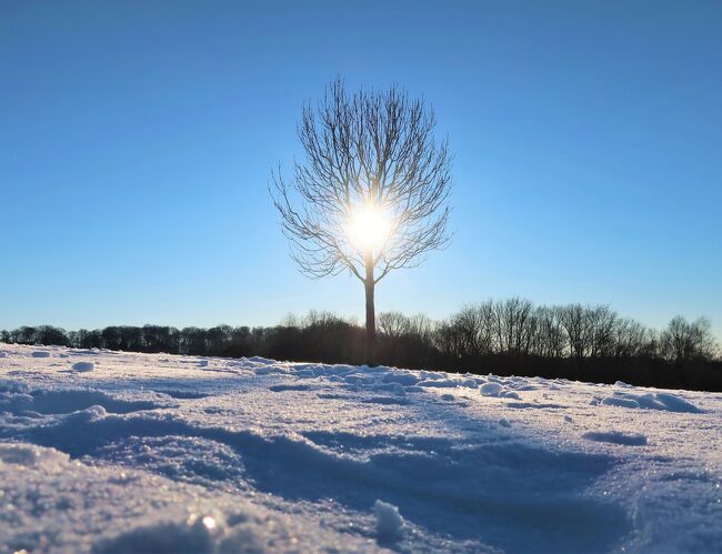 ドイツでは、2月上旬にシベリアから流れ込む強い寒気の影響により例年にない厳しい寒さに見舞われました。デュッセルドルフでも、1月に続き雪が降り気温はマイナス13℃まで下がりました。今回は &quot;Winter Wonderland&quot; と題し、美しい自然の雪景色をご紹介したいと思います。<br /><br />---------------------------<br />◆コロナ禍のデュッセルドルフ・レポートシリーズ<br />https://4travel.jp/travelogue_group/32044