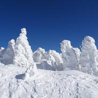 秋田の山旅♪樹氷の森吉山＆雪の名峰絶景フライト