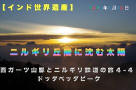 【インド世界遺産】西ガーツ山脈とニルギリ鉄道の旅４-4  ドッダベッダピーク